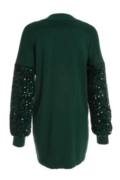 Bottle Green Embellished Jumper -Claasyoo Shop 00100035931 ZB