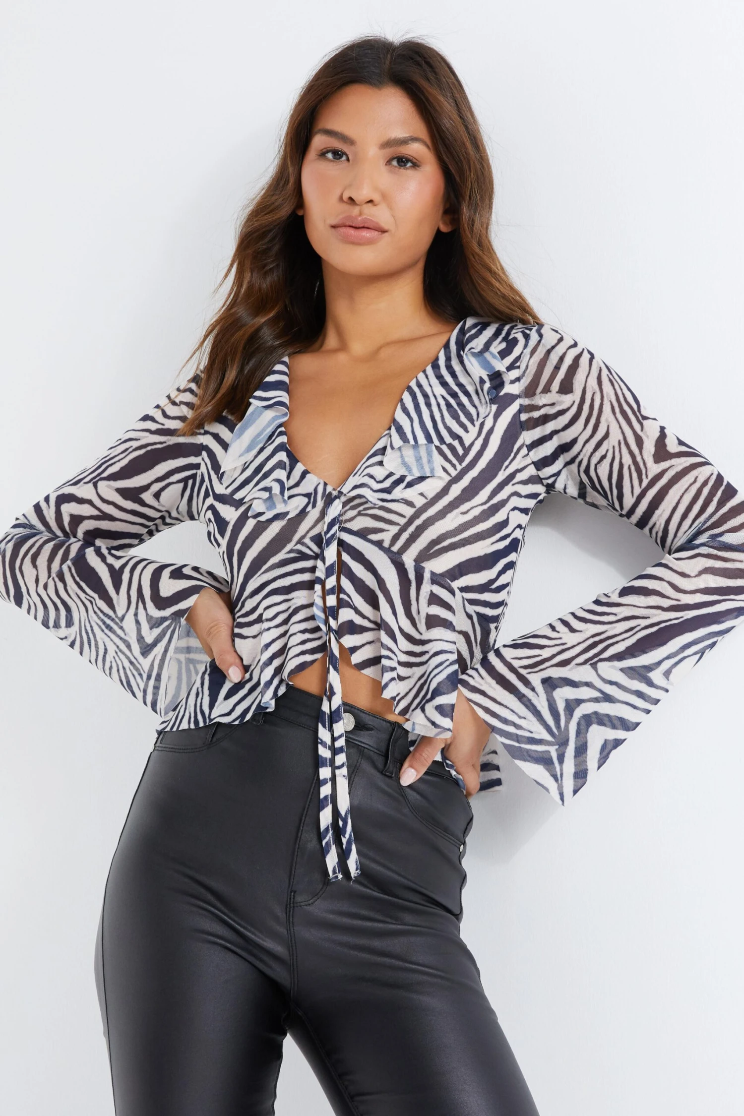 Stone Zebra Print Mesh Top 4 Stone Zebra Print Mesh Top - Image 2