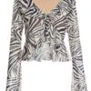 Stone Zebra Print Mesh Top -Claasyoo Shop 00100036487 ZM