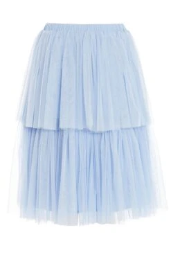 Blue Tulle Skater Skirt -Claasyoo Shop 00100036840 ZB