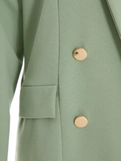 Sage Buttoned Blazer -Claasyoo Shop 00100038051 ZS